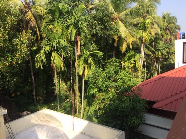 Greenview Homestay Kochi Exterior photo
